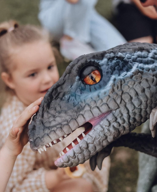 Child reaching out to touch a realistic dinosaur puppet