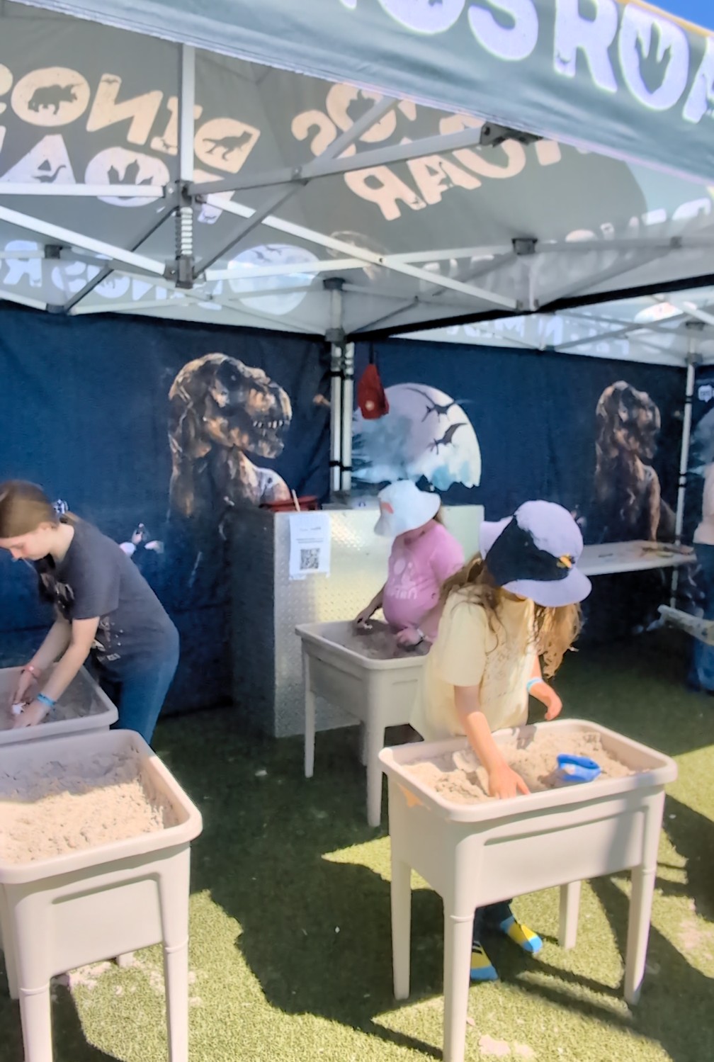 DinoDig fossil excavation activity